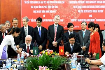  Viện Nghiên cứu lúa quốc tế thành lập văn phòng tại Việt Nam